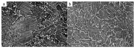 Microstructure Evolution of a Ti-45Al-8.5Nb-0.2W-0.2B-0.02Y Alloy ...