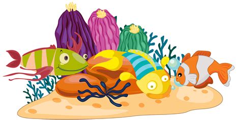 Coral Reef Clipart Png