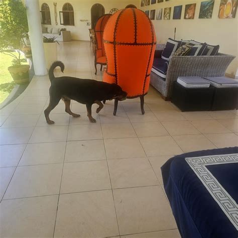 VILLA COSTA PLENTY (Sanur, Bali) - Guesthouse Reviews & Photos ...