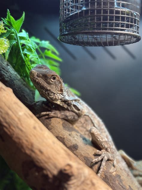 Image result for PVC Enclosure Vertical