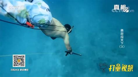 男子潜水捕鱼，看看这条是什么鱼-三农视频-搜狐视频