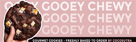 Cocosutra GIANT Gourmet Eggless Cookies,100g each | 4 Ooey Gooey Melty ...