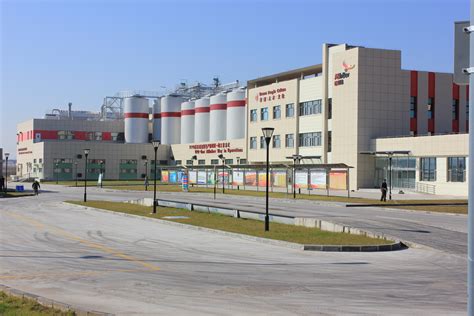 吉林吉神化学工业10吨燃气锅炉-河南远大锅炉有限公司