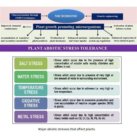 Stress Biology 的图像结果