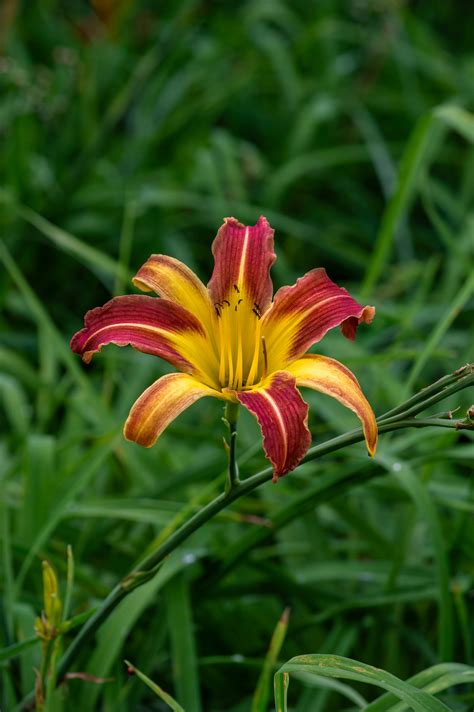 Korean+Onlyfans+Leaks+Video Photos, Download The BEST Free Korean+Onlyfans+Leaks+Video Stock ...