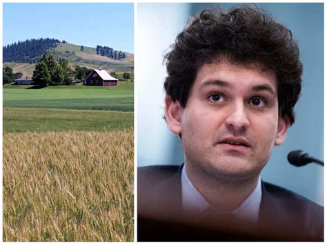 A tiny rural bank which Alameda bought an $11.5 million stake in is ...