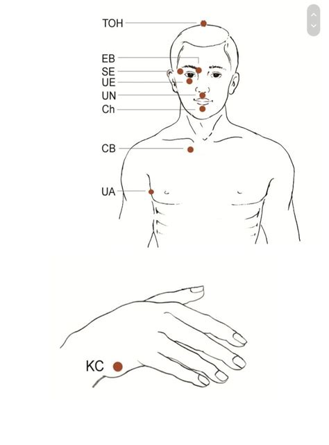 Image result for EFT Tapping Meridians