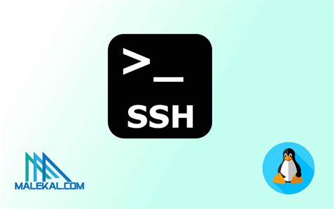 Activer SSH sur Linux (Ubuntu, Mint, Debian, Fedora, …) - korbens
