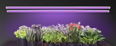 Image result for Insert Text Box OneNote