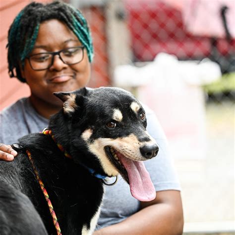 Working at Asheville Humane: Where tails wag and talents shine ...