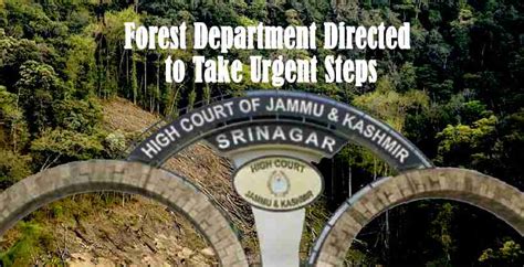 Jammu Kashmir Forest Department, Jammu and Kashmir High Court, Forest ...
