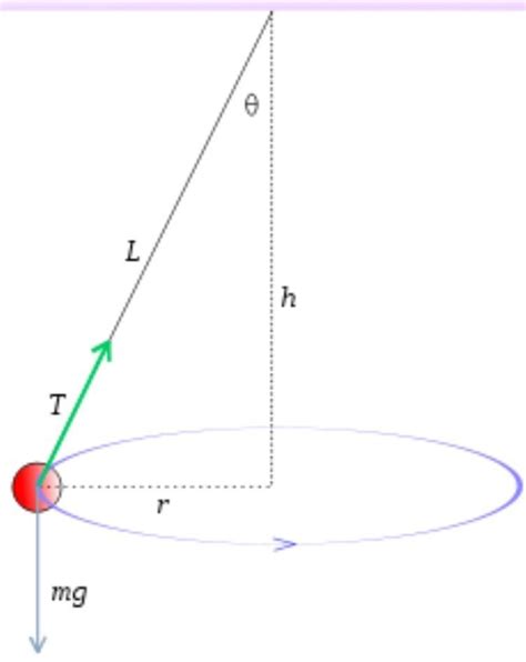 The period of a conical pendulum in terms of its length (l ...