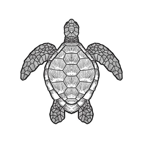 sea turtle outline isolated on white background 13725217 Vector Art at ...