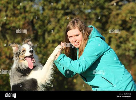 Border Collie Trick Training 的图像结果