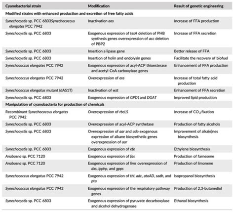 Cyanobacteria and Algal-Based Biological Life Support System (BLSS) and ...