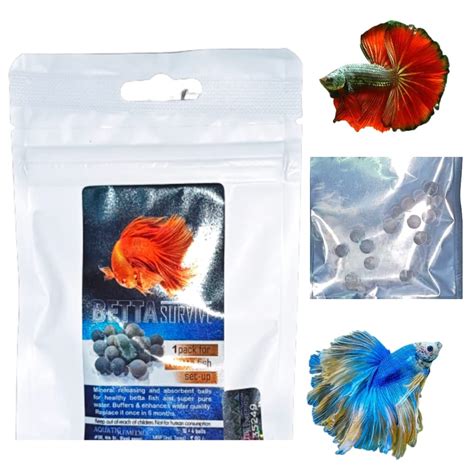 Jeffrey Betta Survive Mineral Balls for Healthy Betta Fish Setup Pack ...