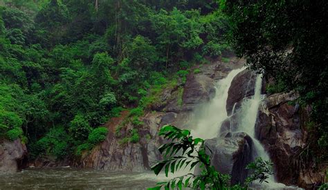 BOOK ONLINE | The ForRest Inn