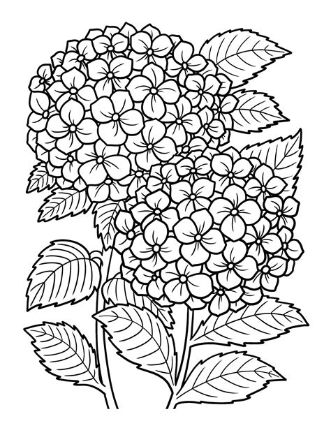 Image result for Program Paper Example during Seminar