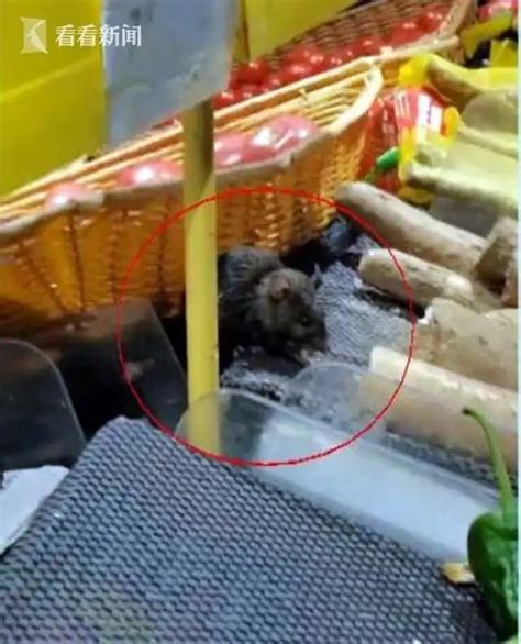 不到四年罚了11次 ！上海一家乐福超市惊现老鼠，不久前刚做过消杀？_腾讯新闻