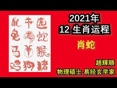 【趙辉顺】EP50/2：2021年 12生肖运程！蛇！【量子易经 - 谈易论经】 - YouTube