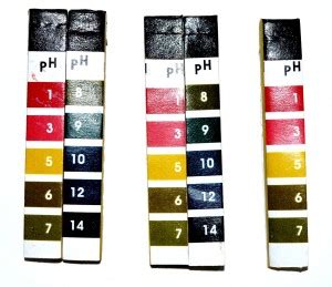 Pin to Pen Litmus Test Kit pH 1 - 14 Indian Soil Test Kit Price in ...