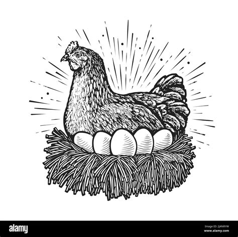 Digital Camera Clipart Black And White Hen
