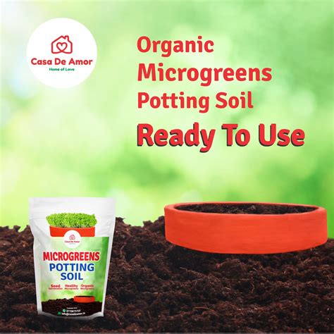 Microgreens Potting Soil, Organic, Grow Microgreens in Kitchen – Casa ...