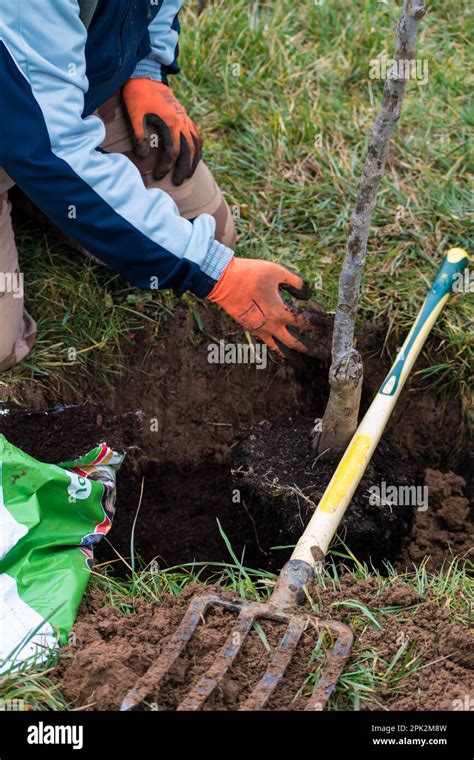 Dig Hole 的图像结果