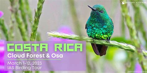 Costa Rica: Cloud Forest & Osa, Airport Drive, Indianapolis, 1 March to ...
