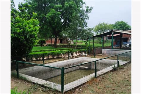 New Delhi YMCA - Rural Development Centre, Hodal, Haryana