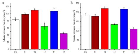 Harnessing Light Quality for Potato Production: Red and Blue Light as ...
