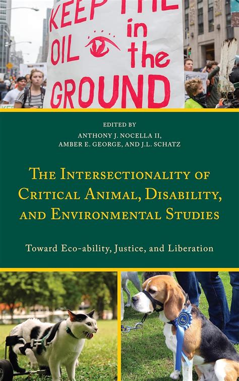 Buy The Intersectionality of Critical Animal, Disability, and ...
