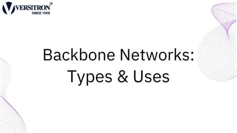 Backbone Network Example 的图像结果