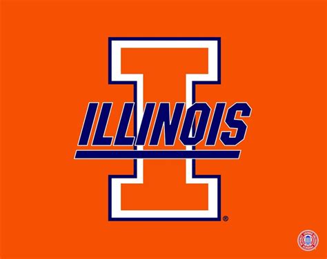 Illini Recipe Vector Product Vector Wallpaper HD Wallpaper