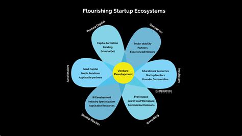 Image result for Startup Ecosystem