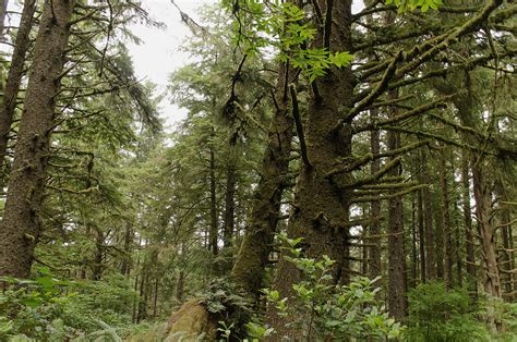 Pacific Northwest Nature/Landscapes 2016 – Art by Stefanie Huddleston