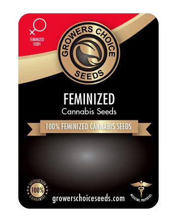 Image result for Alien OG Seeds