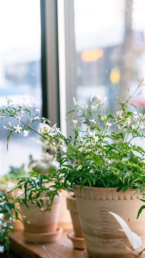 Mac Properties-Chicago (@macpropertieschi) • Instagram photos and videos