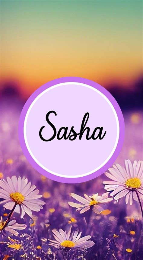 Purple Daisy Field Wallpaper