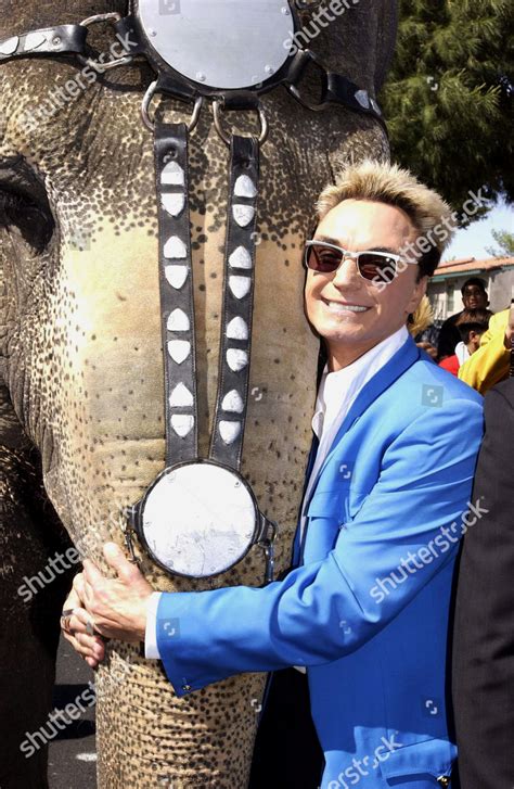 Image result for Daniel Roy Magic Tutorial