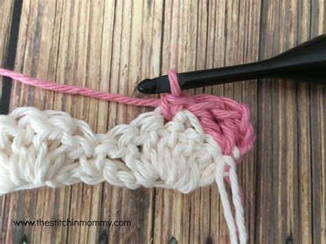 Shell Stitch 的图像结果