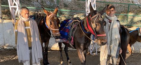 2 घंटे में 14 Km पहाड़ चढ़ने वालों की देसी डाइट, नहीं होती थकान और बना ...