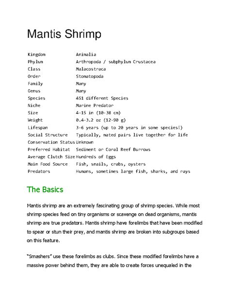 Mantis Shrimp - Mantis Shrimp Kingdom Animalia Phylum Arthropoda / subphylum Crustacea Class ...