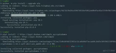 Asn1parse Cryptography Python 的图像结果