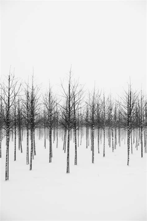 Tundra Grass on Tumblr