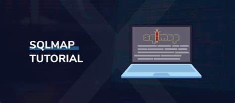 Sqlmap Tutorial Basics 的图像结果