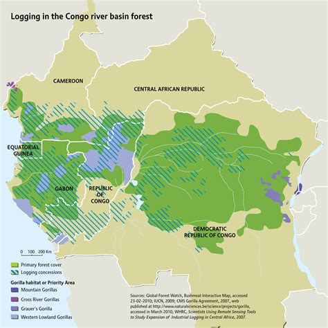 Logging in the Congo river basin forest | GRID-Arendal