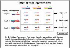 illumina sequencing service htdna services equipment preparation of 16s rrna and illumina sequencing service htdna services equipment preparation of 16s rrna and