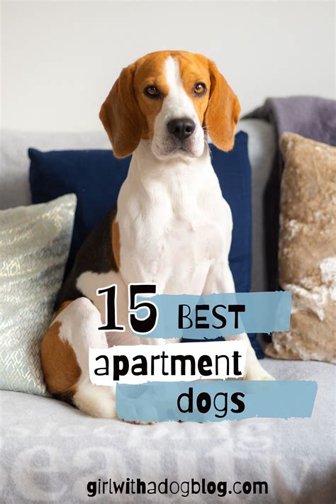 15 Best Apartment Dogs: Choosing the Perfect Breed for Your Home
