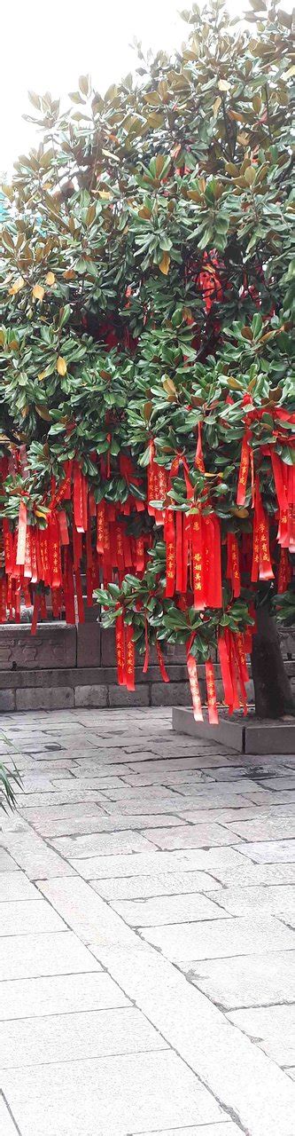 The oldest city area in Shanghai – Chenghuangmiao 城隍庙 @ Singapore ...